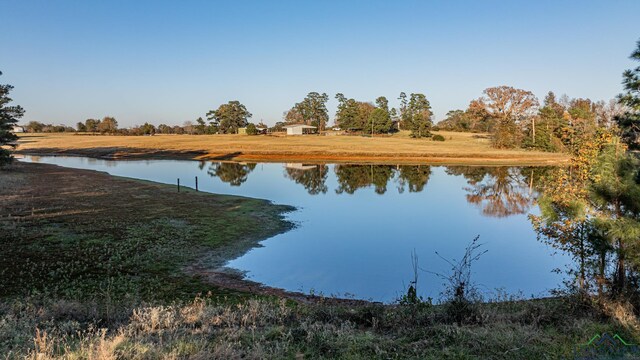 11435 Fm 968 W, Hallsville, TX 75602 - photo 31