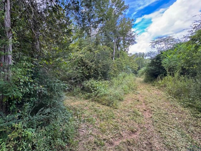 TBD Fm 968, Marshall, TX 75670