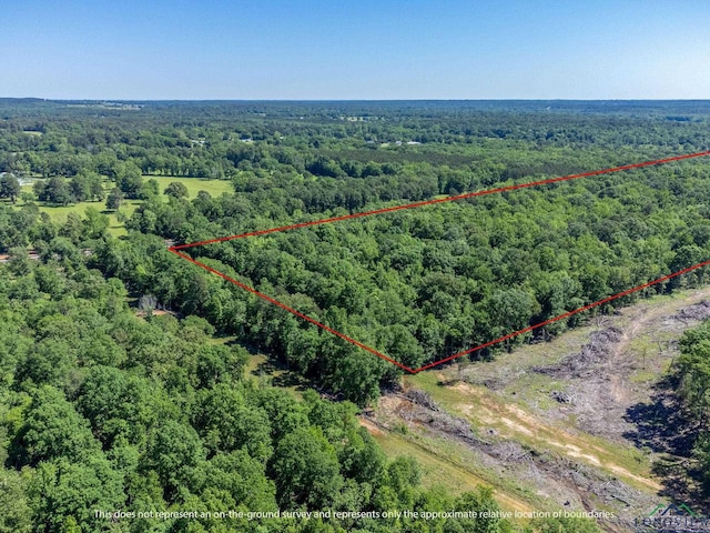 TBD Fm 968, Marshall, TX 75670