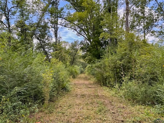 TBD Fm 968, Marshall, TX 75670