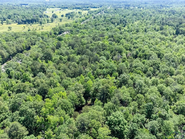 TBD Fm 968, Marshall, TX 75670