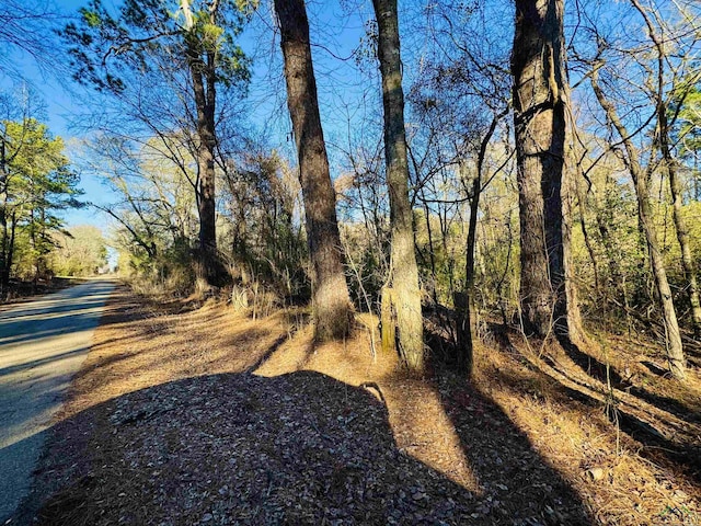 Listing photo 3 for TBD Dancinger Rd, Longview TX 75604