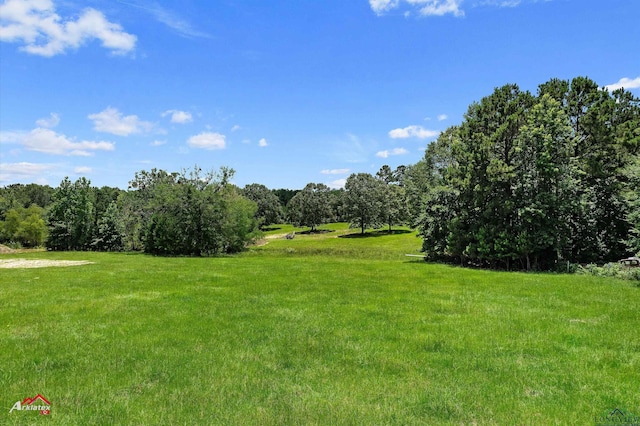 TBD Blackburn Rd, Harleton, TX 75651