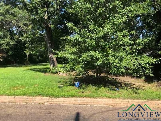 125 Sidney St, Longview TX, 75602 land for sale