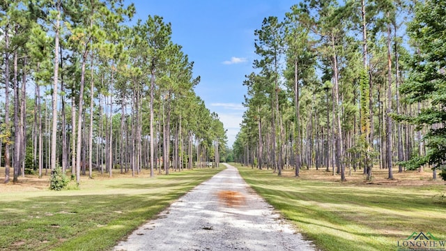 view of property's community with a yard