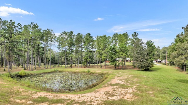 view of property's community with a lawn