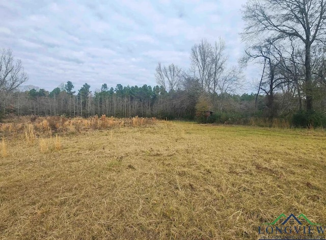 17618 County Road 2280, Arp, TX 75750 - photo 3