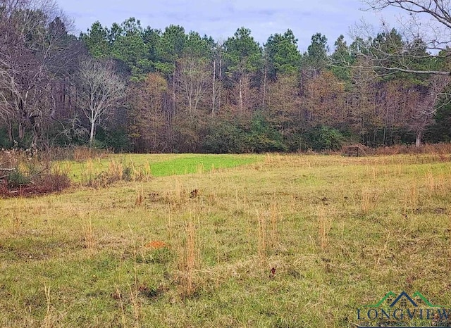 17618 County Road 2280, Arp, TX 75750 - photo 4