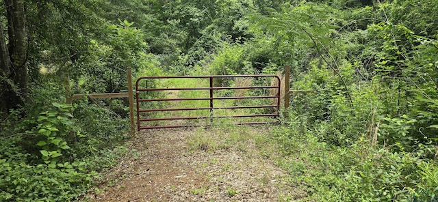 331 Red Maple Rd, Gilmer, TX 75644 - photo 1
