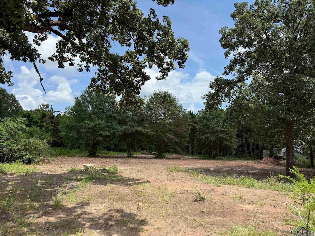 519 Perkins Loop, Diana, TX 75640 - photo 1
