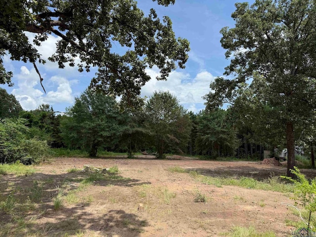 519 Perkins Loop, Diana, TX 75640 - photo 1