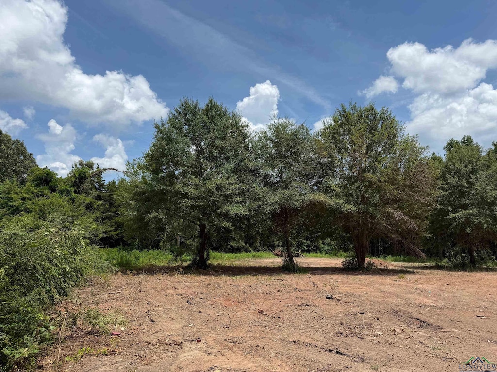 519 Perkins Loop, Diana, TX 75640 - photo 2