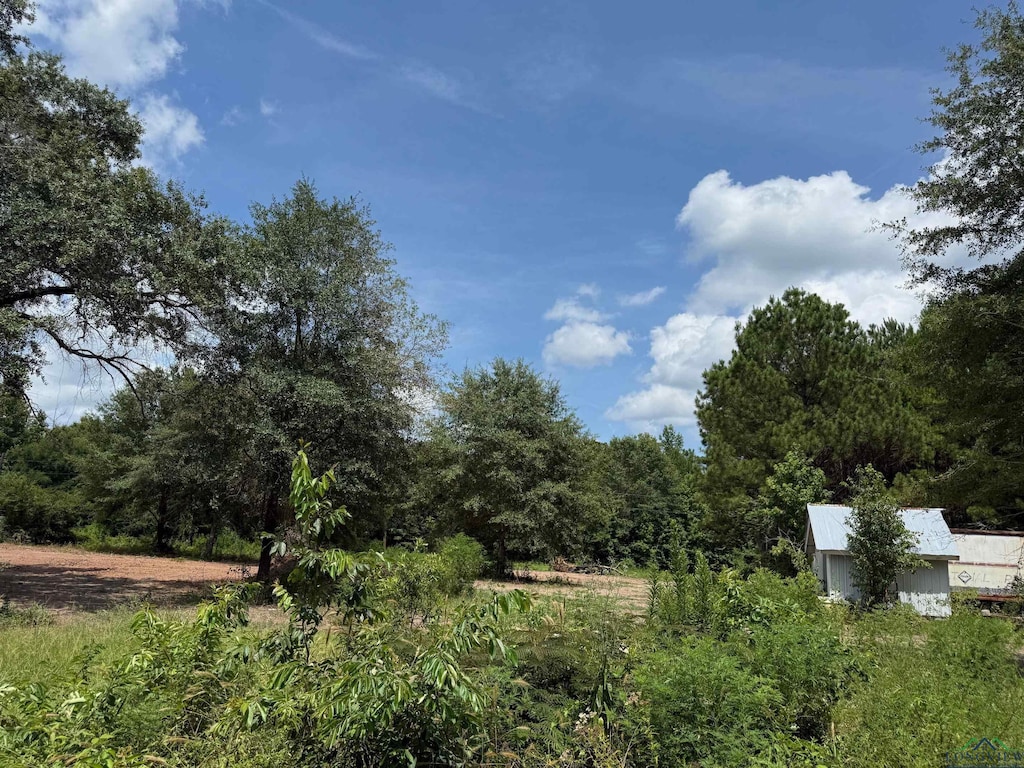 519 Perkins Loop, Diana, TX 75640 - photo 3