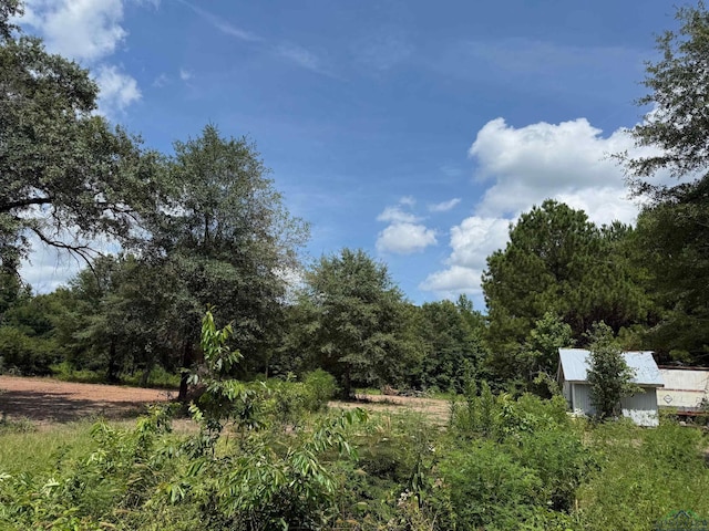 519 Perkins Loop, Diana, TX 75640 - photo 3