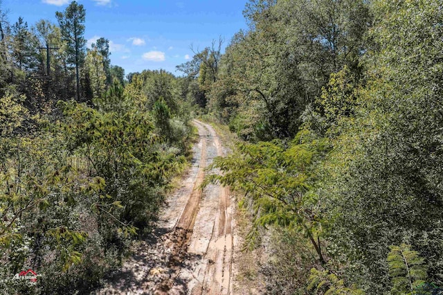TBD State Highway 43, Tatum, TX 75691