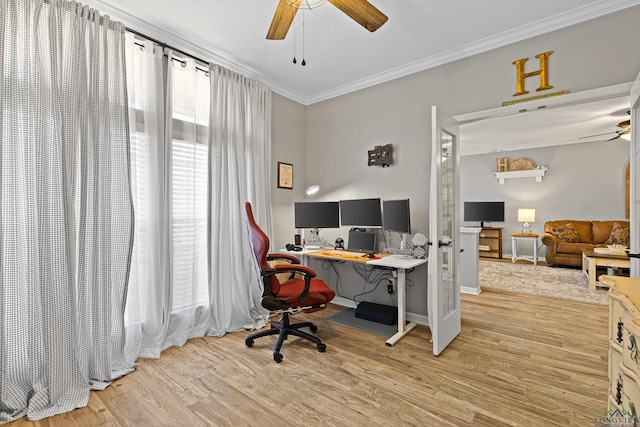 office space featuring ceiling fan, light wood-type flooring, and crown molding