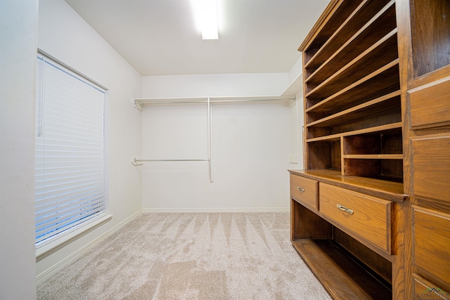 walk in closet featuring light colored carpet