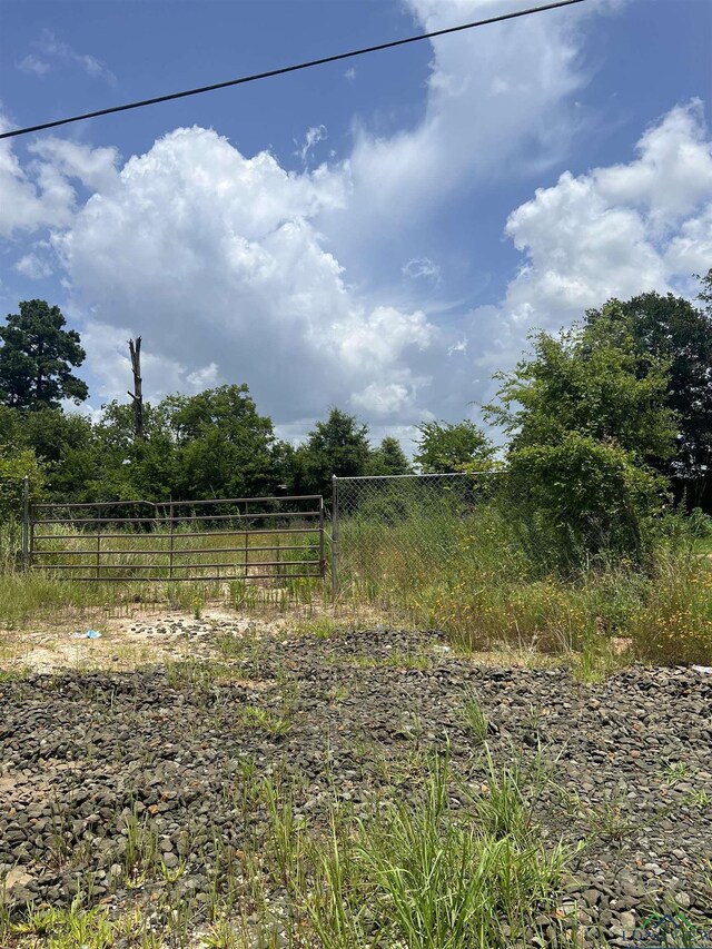 TBD Loop 500, Center, TX 75935 - photo 4