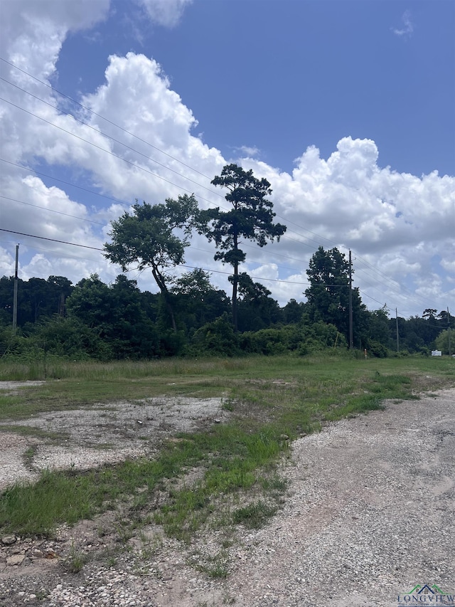 TBD Loop 500, Center, TX 75935 - photo 2