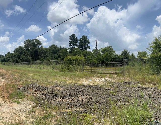 TBD Loop 500, Center, TX 75935 - photo 3