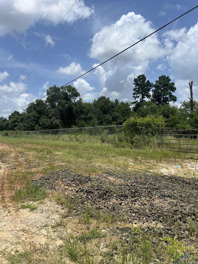 TBD Loop 500, Center, TX 75935 - photo 1