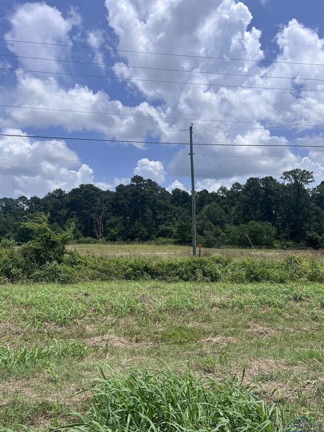 TBD Loop 500, Center, TX 75935 - photo 8