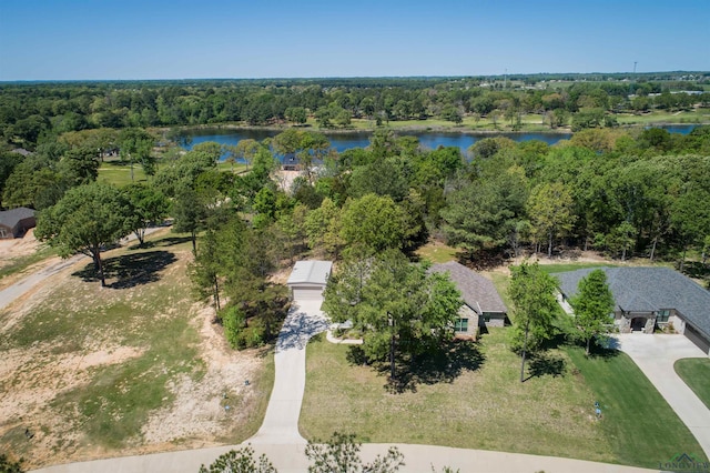 bird's eye view featuring a water view and a view of trees