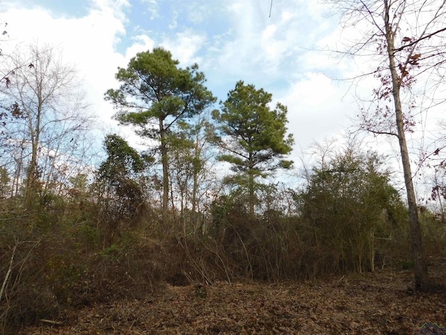 Listing photo 2 for TBD Fm 852, Gilmer TX 75644