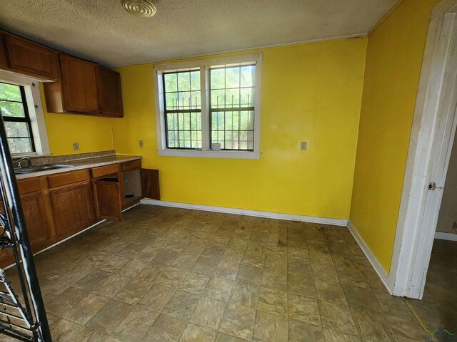 kitchen featuring sink and a textured ceiling