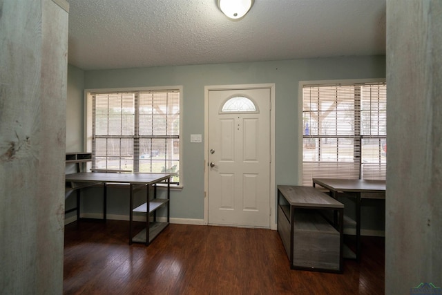 foyer with plenty of natural light, dark wood-type flooring, and a textured ceiling