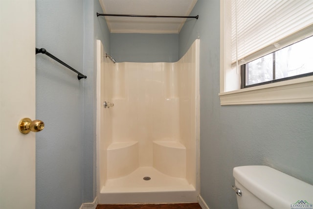 bathroom with toilet and a shower