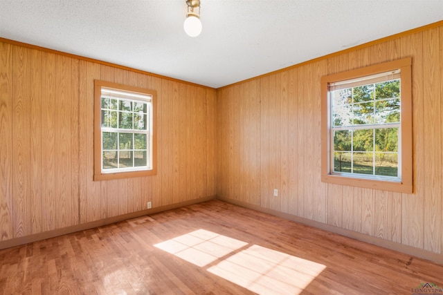 empty room with a wealth of natural light and light wood-type flooring