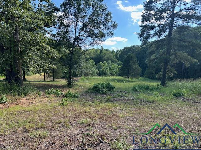 680 La Salle Ave, Ore City TX, 75683 land for sale