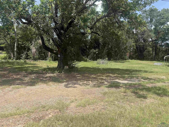 1009 Jordan St, Longview, TX 75602 - photo 5