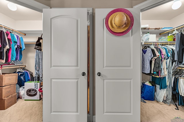 walk in closet with light carpet