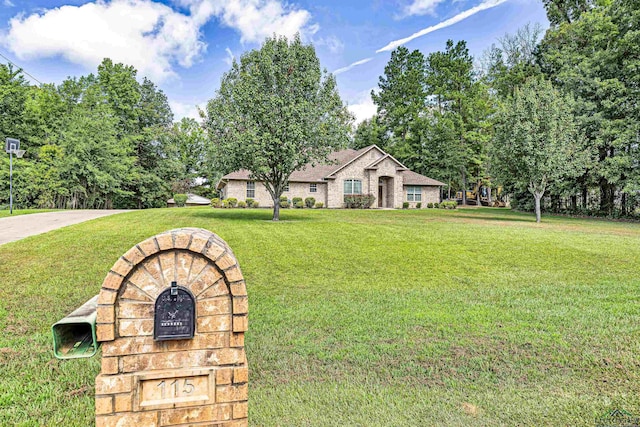 view of front of house featuring a front yard