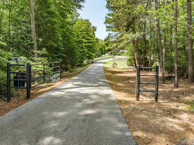 435 Acr 3763, Palestine, TX 75801 - view of street featuring a forest view and a gate