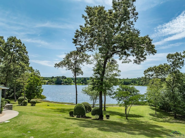 435 Acr 3763, Palestine, TX 75801 - water view