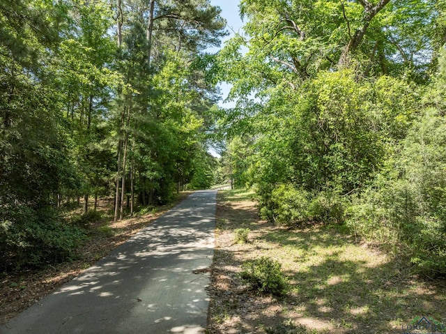 435 Acr 3763, Palestine, TX 75801 - view of street with a view of trees