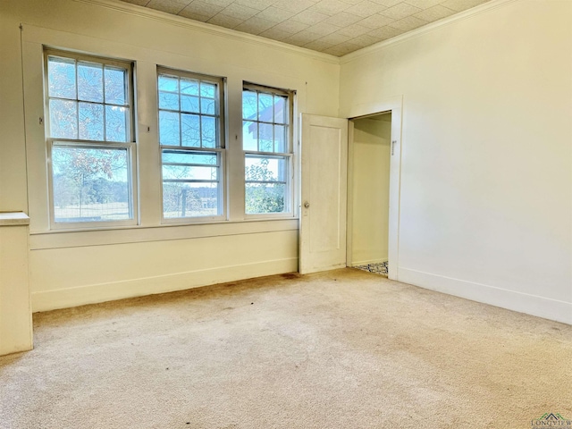 carpeted spare room featuring crown molding