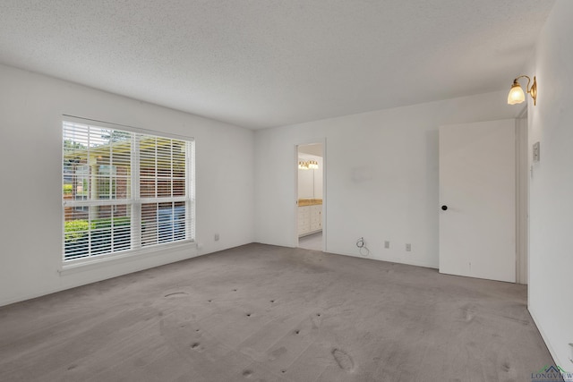 spare room featuring light colored carpet and a textured ceiling