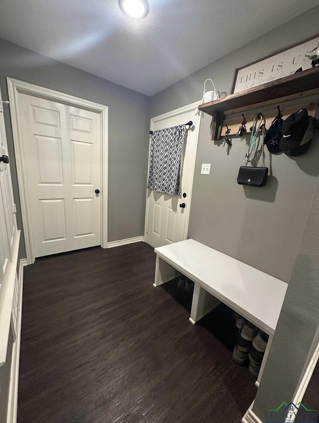 mudroom with dark wood-type flooring