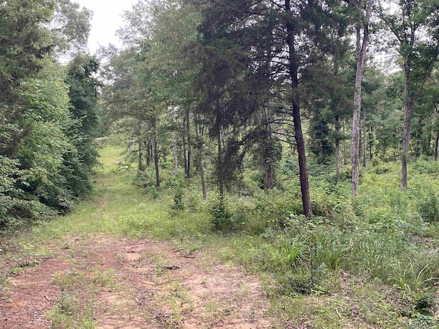 12727 N US Highway 259, Ore City, TX 75683