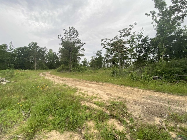 12727 N US Highway 259, Ore City, TX 75683