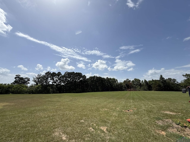 212 Lansing Switch Rd, Longview, TX 75602 - photo 31
