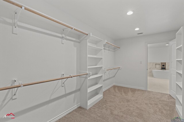 spacious closet with carpet flooring