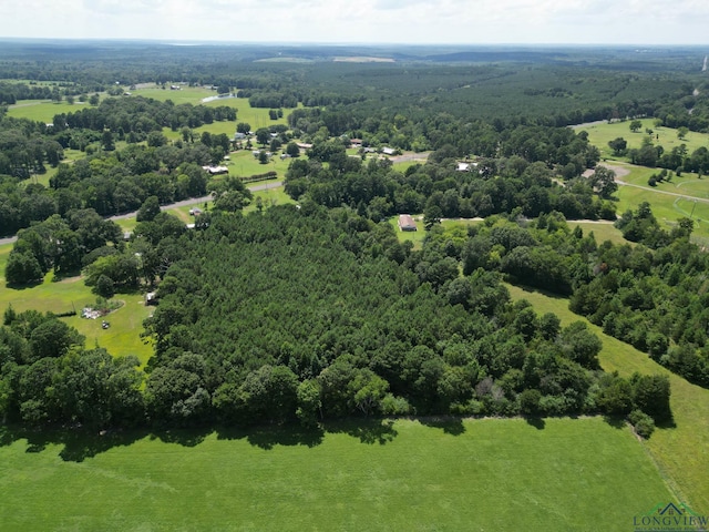 25500 State Highway 49, Jefferson, TX 75657 - photo 7