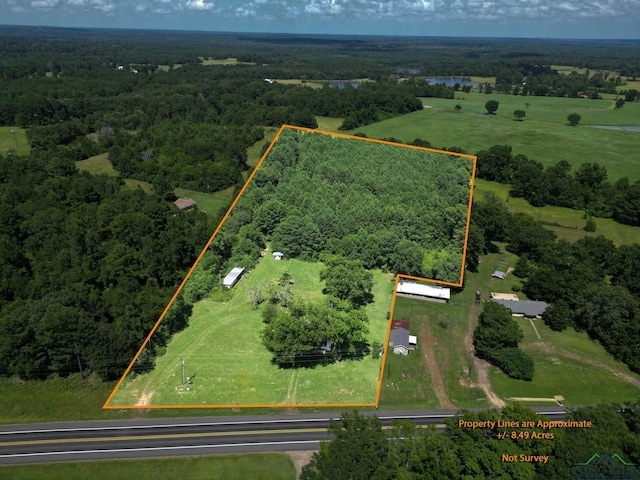 25500 State Highway 49, Jefferson, TX 75657 - photo 2