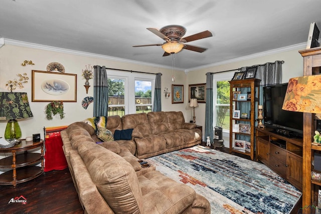 living room featuring crown molding, ceiling fan, and dark hardwood / wood-style floors