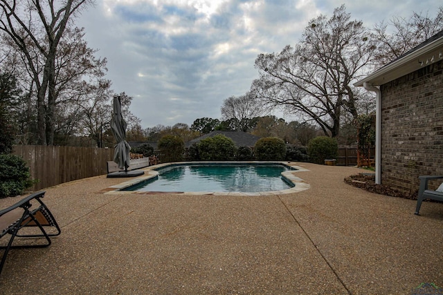 view of pool featuring a patio